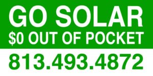Solar Bear